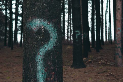 Asking questions for positive mindset