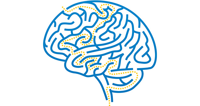 Cognitive Changes in Parkinson's Disease