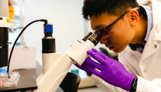 BlueRock scientist using a microscope